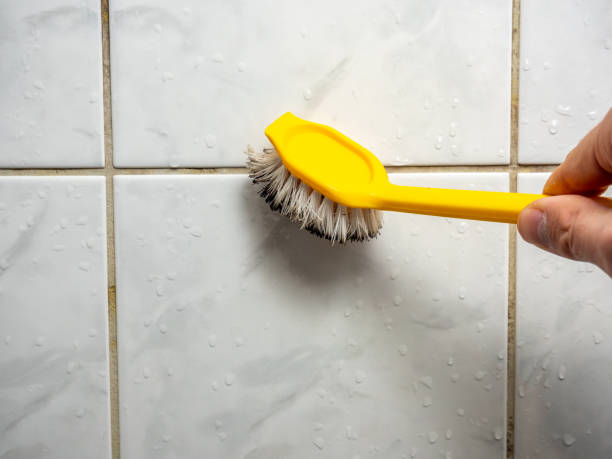 Best Emergency Mold Removal  in Bel Nor, MO