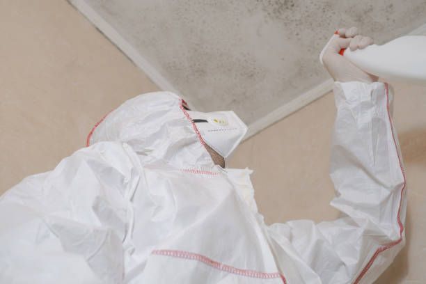 Best Mold Cleaning Services  in Bel Nor, MO
